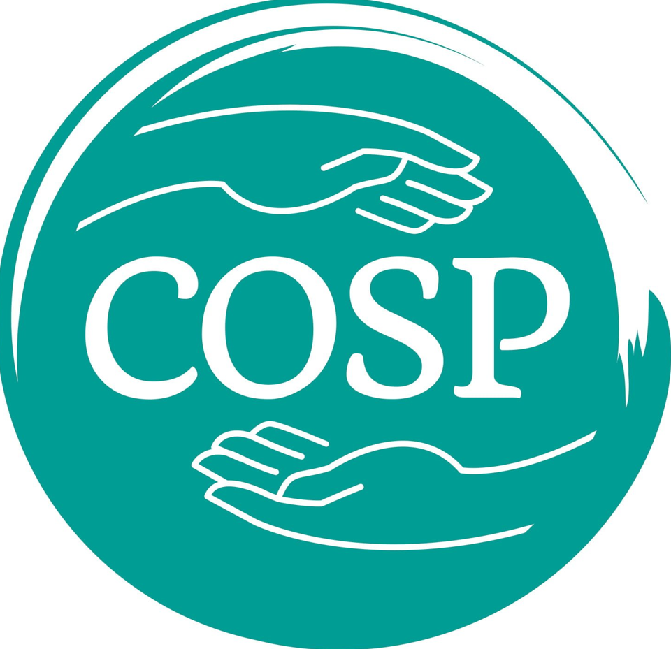 ✨Curs individual de Educație Parentală Cercul Siguranței COSP™