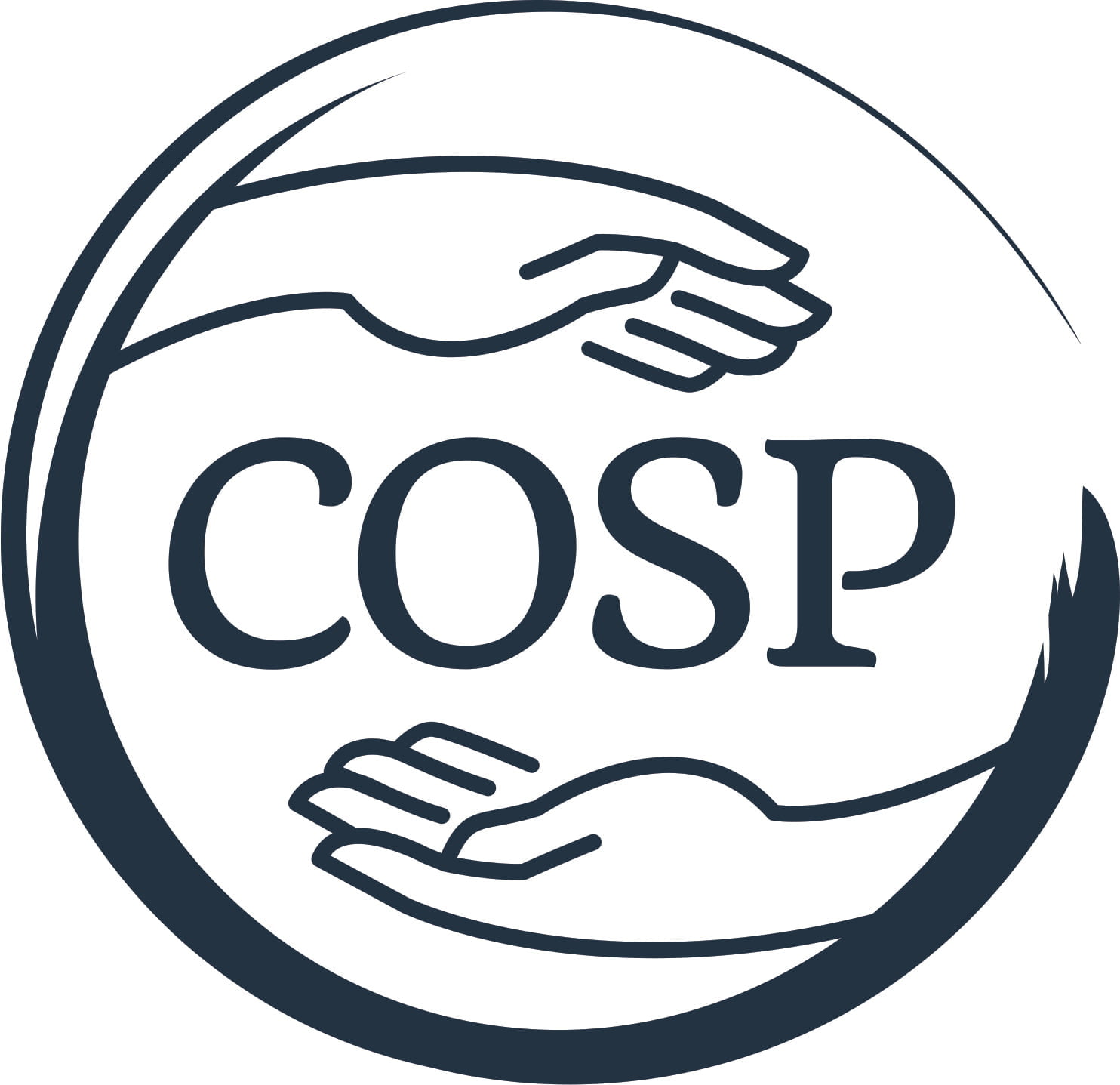 ✨Curs de Educație Parentală Cercul Siguranței COSP™ - pentru ambii părinți